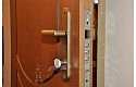 ADLO - Bezpečnostní dveře TESIM, profilové Dýha F151 detail, protihlukové