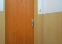 ADLO - Bezpečnostní dveře TEDUO, hladký design, povrch dveří Javor Adria, vchodové dveře do bytu