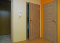 ADLO - Bezpečnostní dveře TEDUO, hladký design, povrch dveří Indický Eben