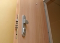 ADLO - Bezpečnostní dveře TEDUO, vchodové dveře do bytu, povrch dveří Akát H1277